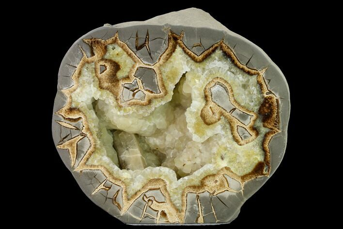 Polished, Crystal Filled Septarian Geode - Utah #170003